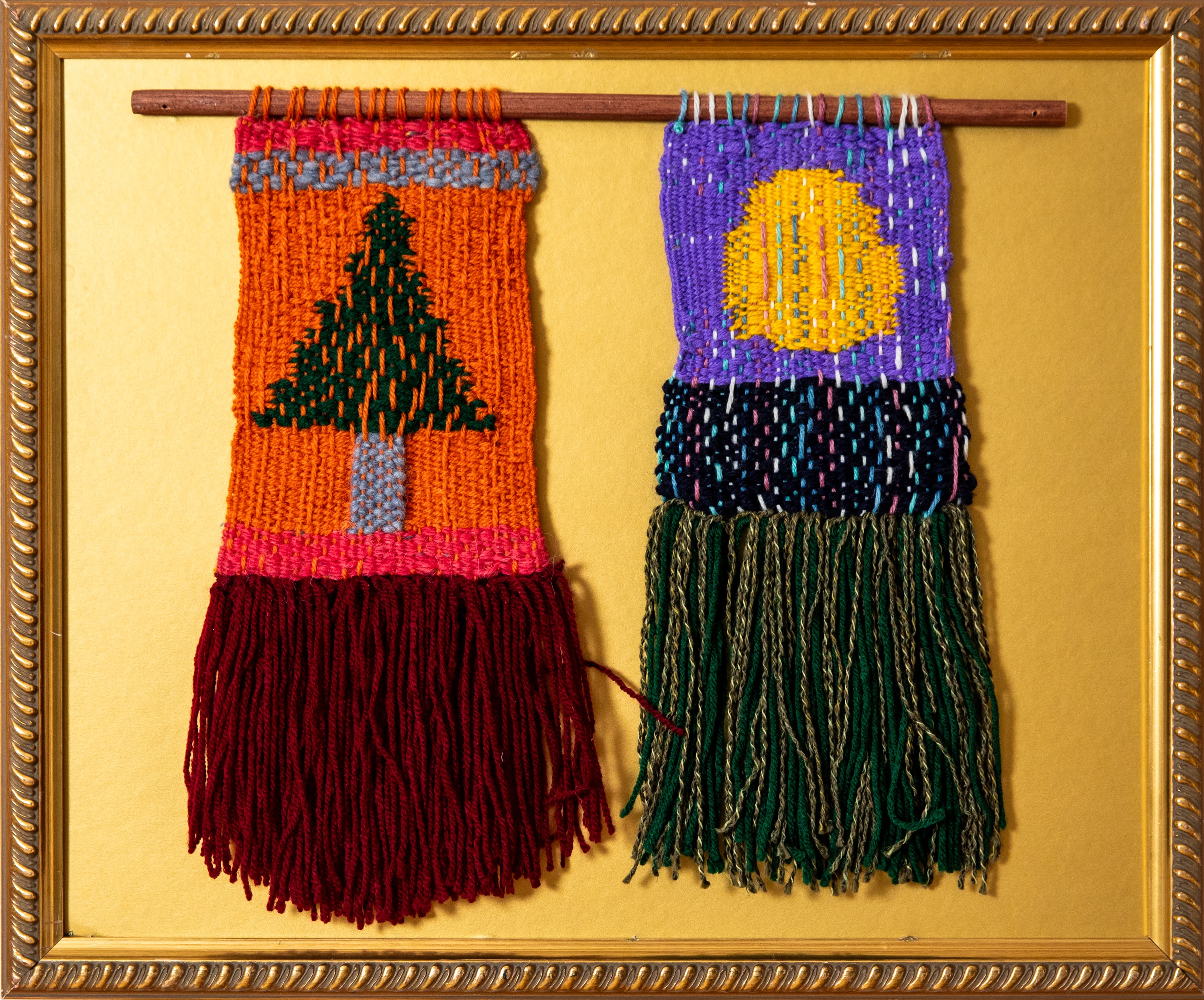 Le soleil et l'arbre