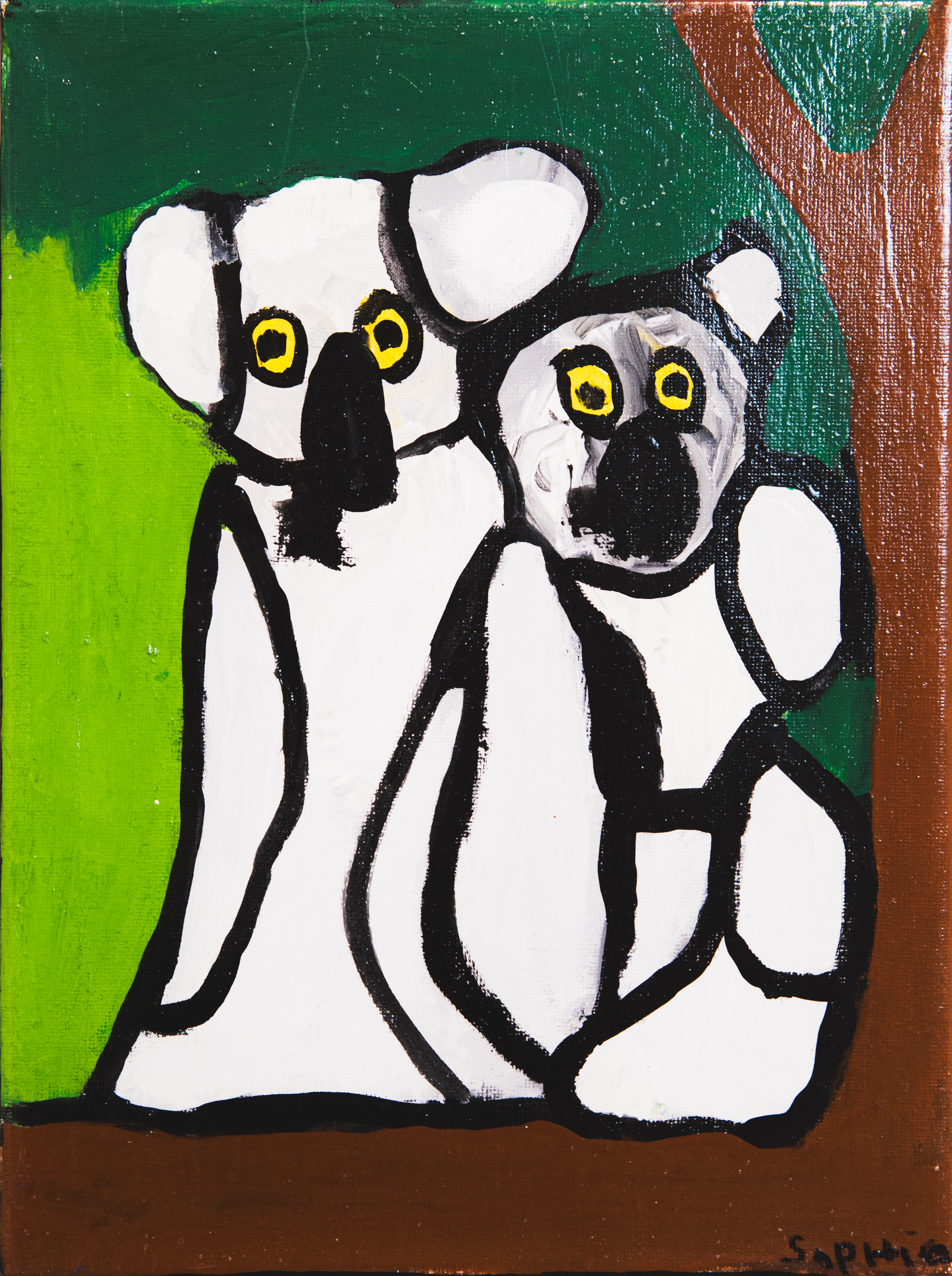 Koala dans les arbres en Australie