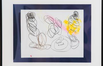 Le tourbillon de canard