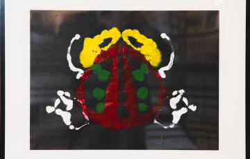 Les coccinelles