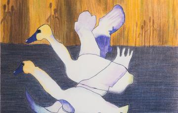 Les signes du paradis